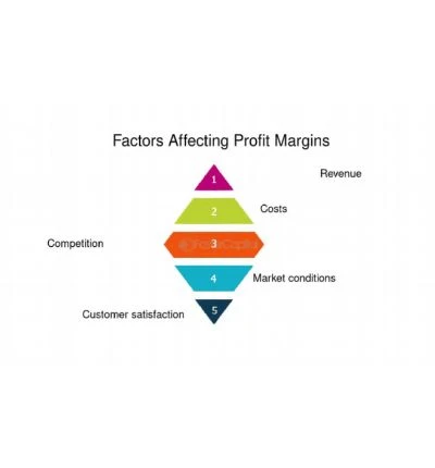 Profit Margin Factors